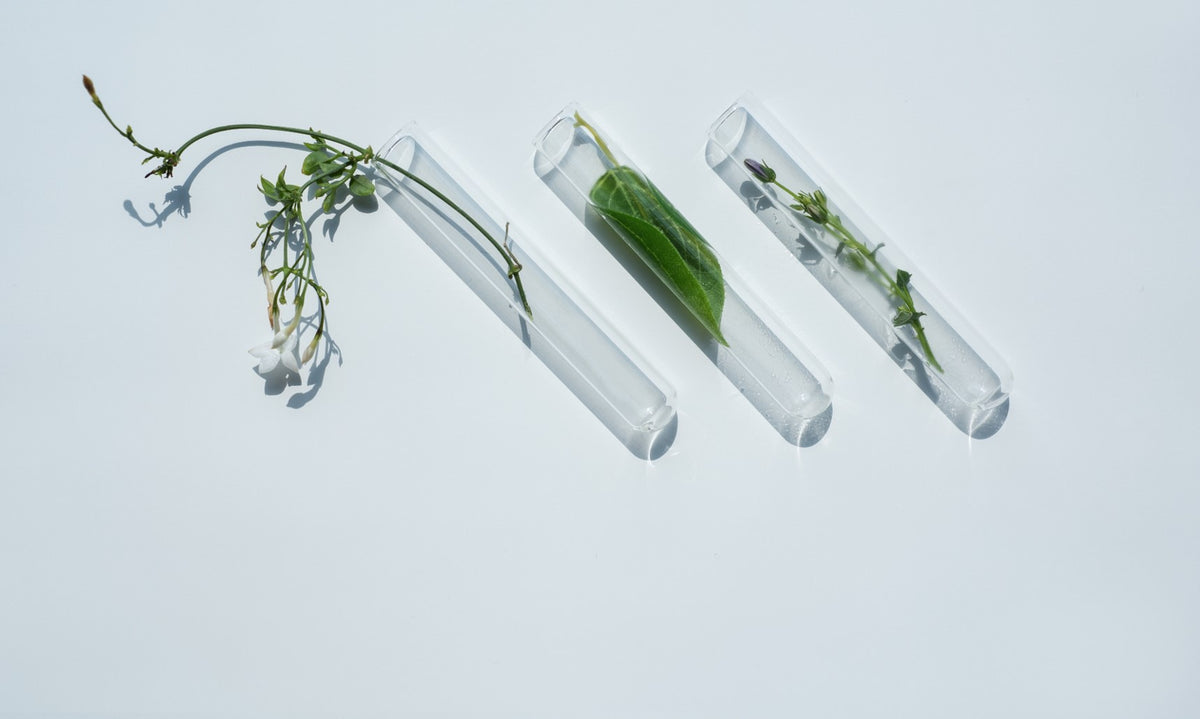 On ‘THE CLEAN’ and‘THE DIRTY' of skincare
