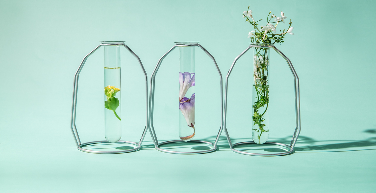 Sustainable Skincare for a Healthier Planet and a Healthier You