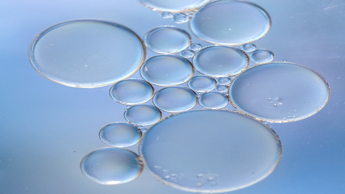Probiotics: Worth the Hype